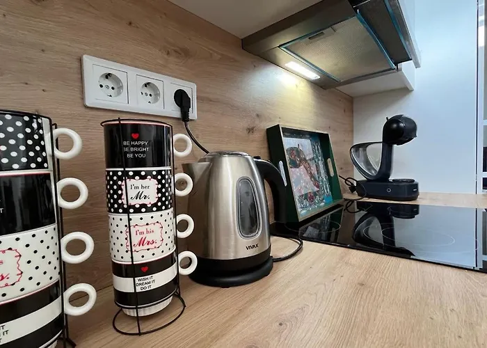 公寓 Old Town Loft Sarajevo, With Free Parking *