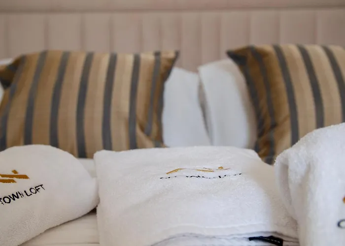 公寓 Old Town Loft Sarajevo, With Free Parking *