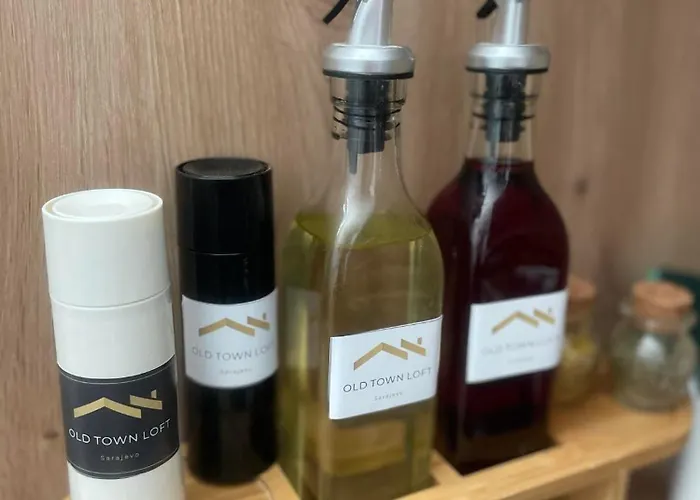 Old Town Loft Sarajevo, With Free Parking 公寓 *