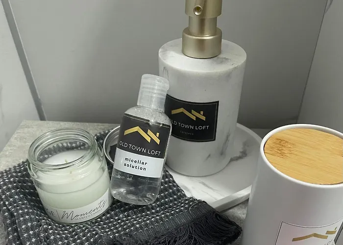 公寓 Old Town Loft Sarajevo, With Free Parking 塞拉耶佛