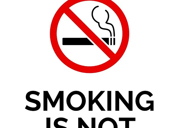 Old Town Loft Sarajevo, With Free Parking 公寓 *